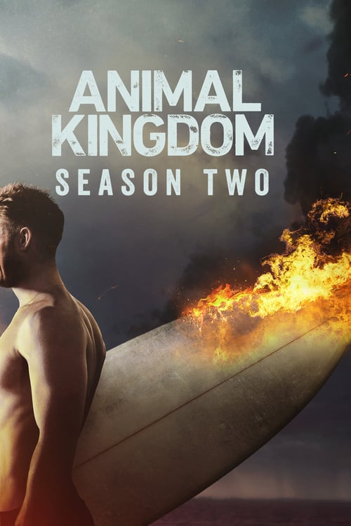 Animal Kingdom: Season 2 - o2tvseries