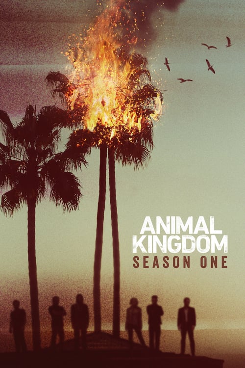 Animal Kingdom: Season 1 - o2tvseries